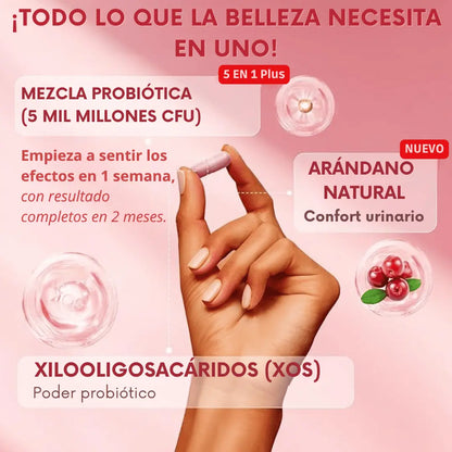 Probiótico Vaginal Quit Mood ‒ 60 cáps.