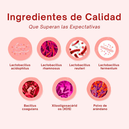 Probiótico Vaginal Quit Mood ‒ 60 cáps.