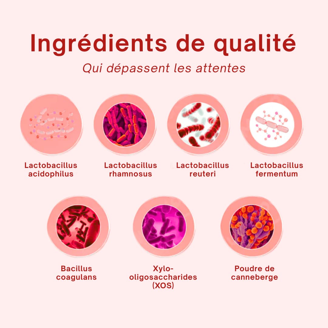 Probiotique Vaginal Quit Mood ‒ 60 gélules